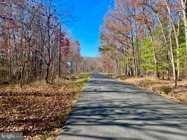 Egypt Bend Rd, Luray, VA 22835 - photo 4