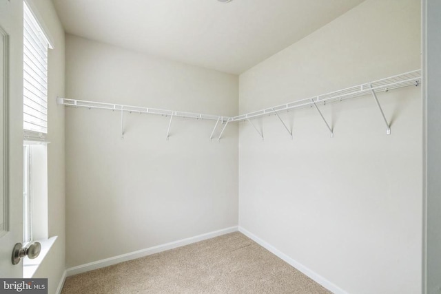 226 Baker Dr, Luray, VA 22835 - spacious closet featuring carpet flooring