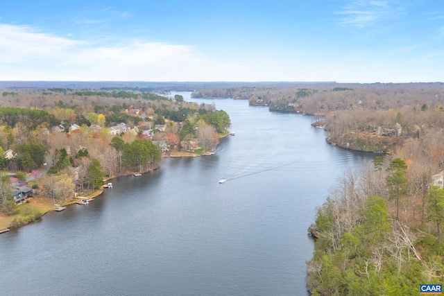 19 Hawks Pl, Palmyra, VA 22963 - birds eye view of property featuring a water view and a forest view