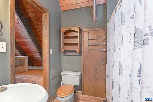 19 Hawks Pl, Palmyra, VA 22963 - bathroom featuring lofted ceiling, toilet, wood ceiling, and a shower with shower curtain