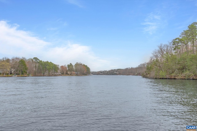 19 Hawks Pl, Palmyra, VA 22963 - view of water feature featuring a view of trees