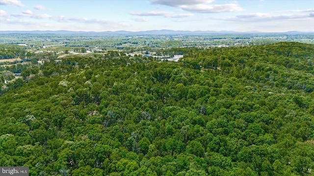 54 Courthouse Mountain Rd, Madison, VA 22727 - birds eye view of property with a mountain view and a forest view