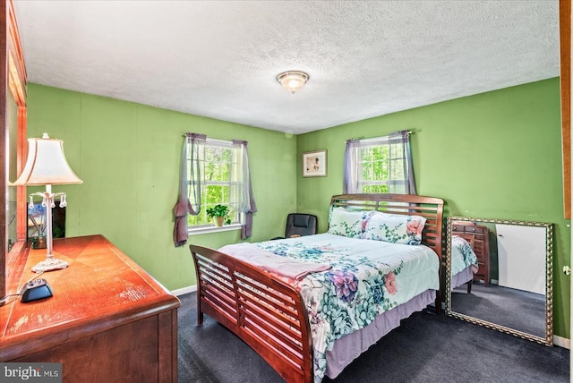 54 Courthouse Mountain Rd, Madison, VA 22727 - bedroom featuring a textured ceiling, baseboards, and carpet