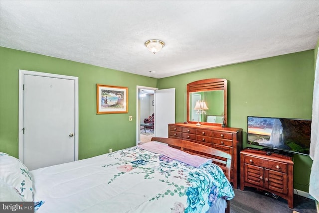 54 Courthouse Mountain Rd, Madison, VA 22727 - carpeted bedroom with a textured ceiling