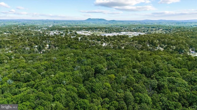 54 Courthouse Mountain Rd, Madison, VA 22727 - birds eye view of property featuring a forest view and a mountain view