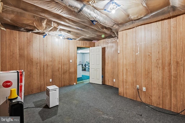 54 Courthouse Mountain Rd, Madison, VA 22727 - unfinished below grade area with wooden walls and carpet floors