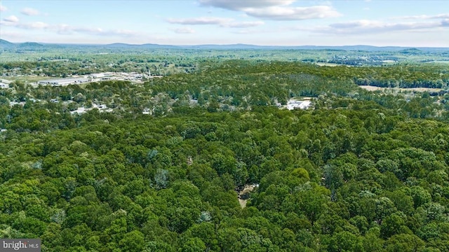 54 Courthouse Mountain Rd, Madison, VA 22727 - birds eye view of property featuring a forest view