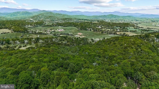 54 Courthouse Mountain Rd, Madison, VA 22727 - mountain view featuring a wooded view