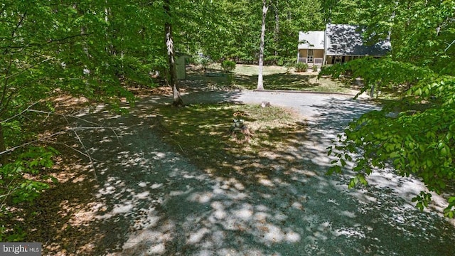 54 Courthouse Mountain Rd, Madison, VA 22727 - view of yard