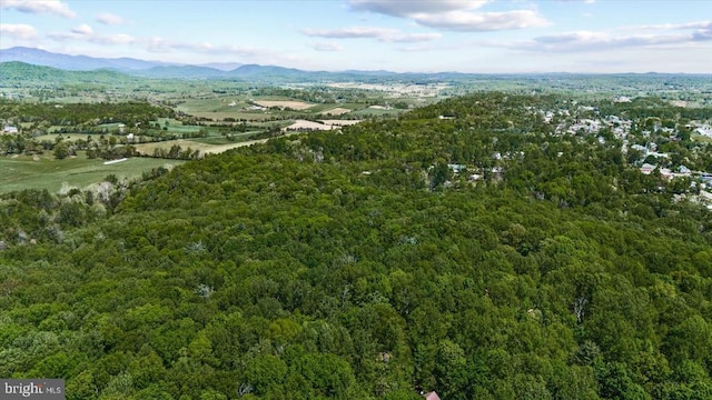 54 Courthouse Mountain Rd, Madison, VA 22727 - birds eye view of property featuring a mountain view and a wooded view