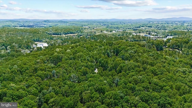 54 Courthouse Mountain Rd, Madison, VA 22727 - aerial view featuring a forest view and a mountain view