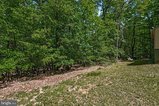 54 Courthouse Mountain Rd, Madison, VA 22727 - view of yard