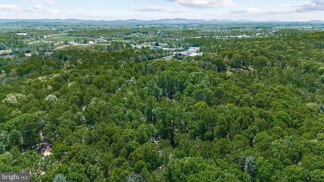 54 Courthouse Mountain Rd, Madison, VA 22727 - aerial view with a forest view and a mountain view