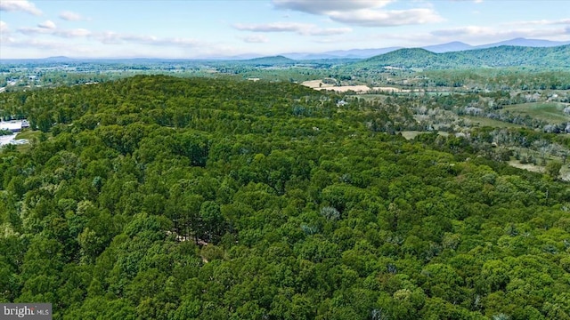 54 Courthouse Mountain Rd, Madison, VA 22727 - birds eye view of property with a mountain view and a view of trees