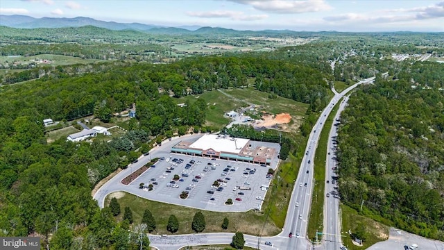 54 Courthouse Mountain Rd, Madison, VA 22727 - aerial view featuring a view of trees