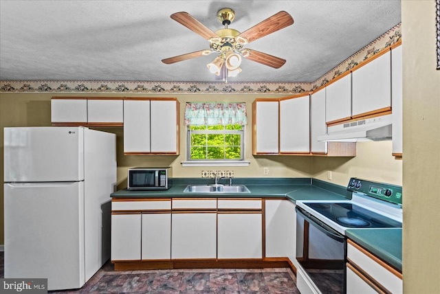 54 Courthouse Mountain Rd, Madison, VA 22727 - kitchen with freestanding refrigerator, range with electric cooktop, under cabinet range hood, stainless steel microwave, and a sink