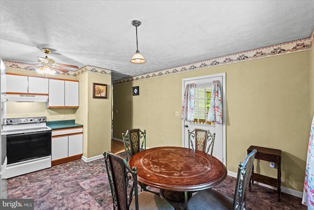 54 Courthouse Mountain Rd, Madison, VA 22727 - dining area with ceiling fan, a textured ceiling, and baseboards