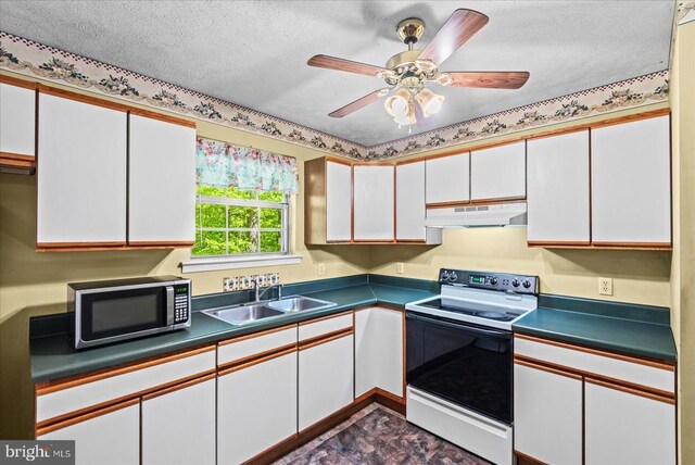 54 Courthouse Mountain Rd, Madison, VA 22727 - kitchen featuring a sink, white cabinetry, stainless steel microwave, under cabinet range hood, and range with electric stovetop
