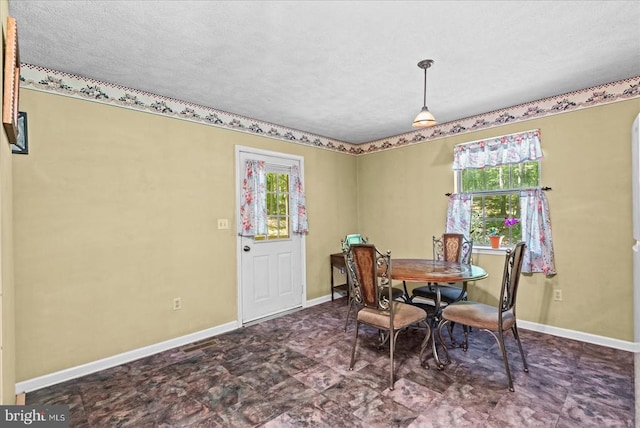 54 Courthouse Mountain Rd, Madison, VA 22727 - dining room featuring plenty of natural light, baseboards, and a textured ceiling