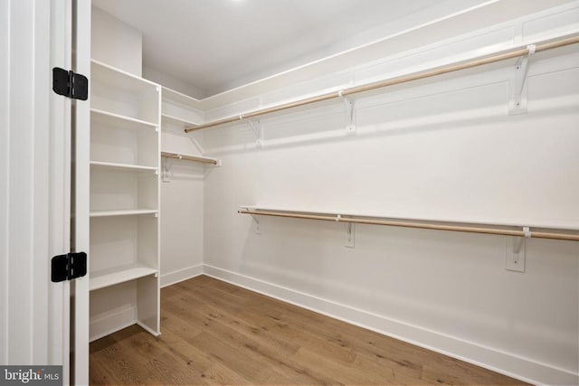 8630 Rosni Way, Fredericksburg, VA 22407 - walk in closet featuring wood finished floors