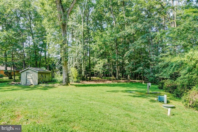  - view of green lawn featuring a shed