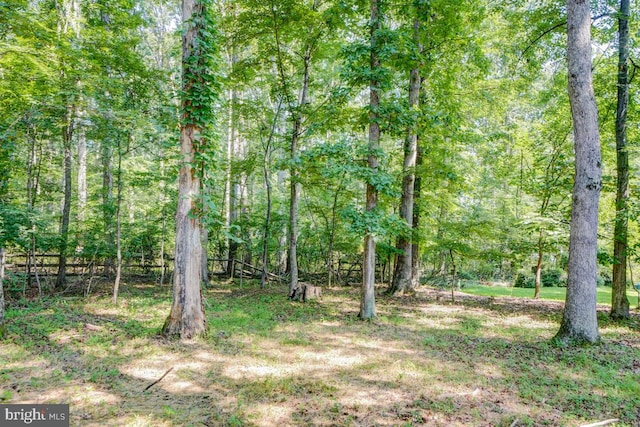 - view of yard featuring a forest view