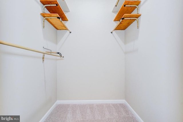  - spacious closet featuring carpet flooring