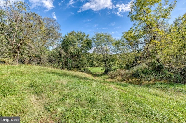 Oak Park Rd, Locust Dale, VA 22948 - photo 15