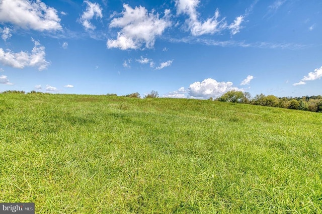 Oak Park Rd, Locust Dale, VA 22948 - photo 11