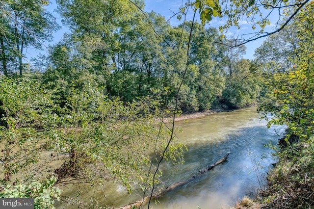 Oak Park Rd, Locust Dale, VA 22948 - photo 1