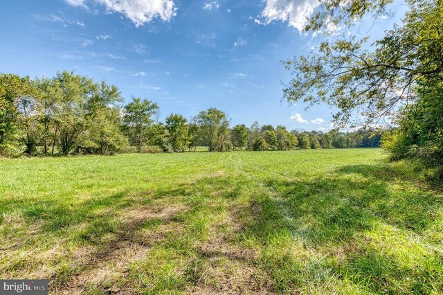 Oak Park Rd, Locust Dale, VA 22948 - photo 16