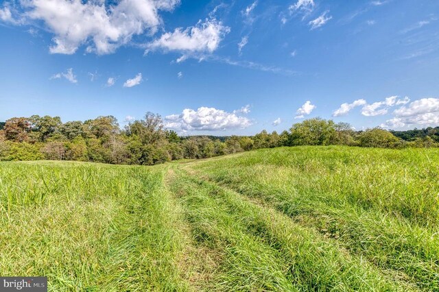 Oak Park Rd, Locust Dale, VA 22948 - photo 13
