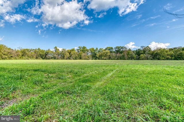 Oak Park Rd, Locust Dale, VA 22948 - photo 18