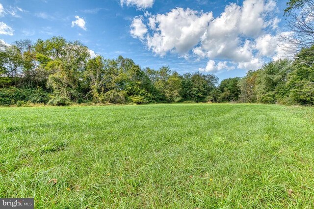 Oak Park Rd, Locust Dale, VA 22948 - photo 20