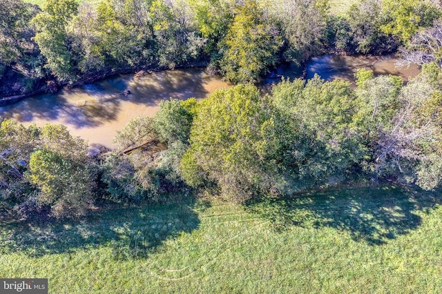 Oak Park Rd, Locust Dale, VA 22948 - photo 23