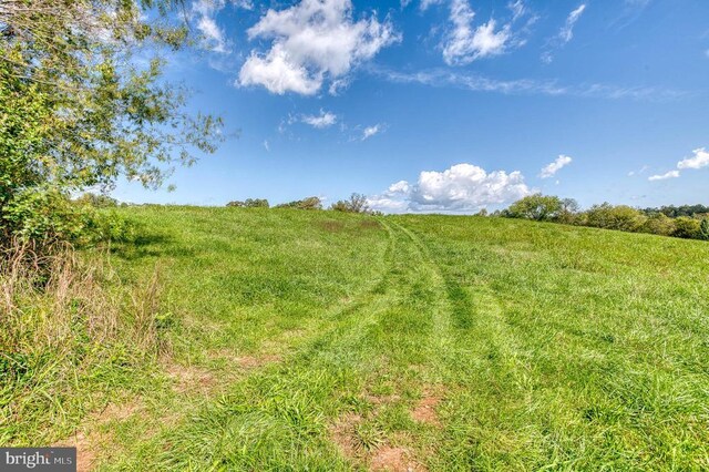 Oak Park Rd, Locust Dale, VA 22948 - photo 10