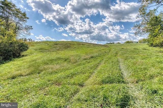Oak Park Rd, Locust Dale, VA 22948 - photo 14