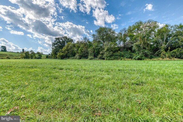 Oak Park Rd, Locust Dale, VA 22948 - photo 19