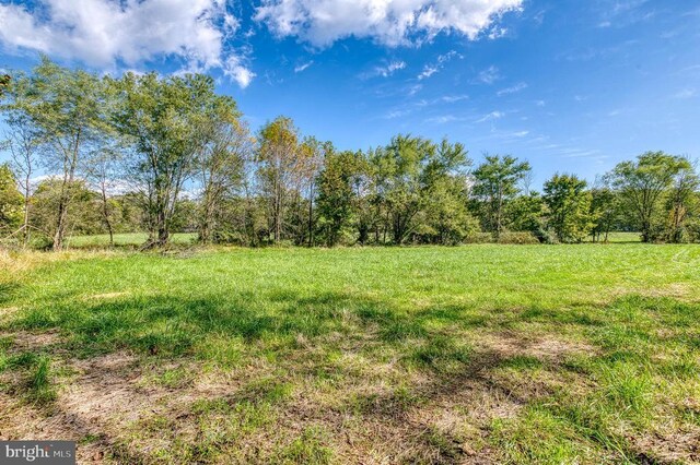 Oak Park Rd, Locust Dale, VA 22948 - photo 17