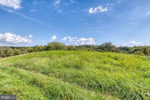 Oak Park Rd, Locust Dale, VA 22948 - photo 12