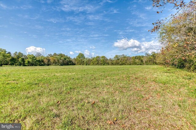 Oak Park Rd, Locust Dale, VA 22948 - photo 21
