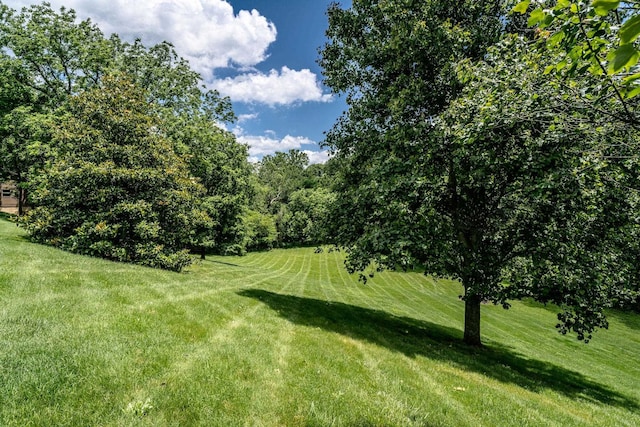 16540 Stoney Lea Ln, Elkton, VA 22827 - view of grassy yard