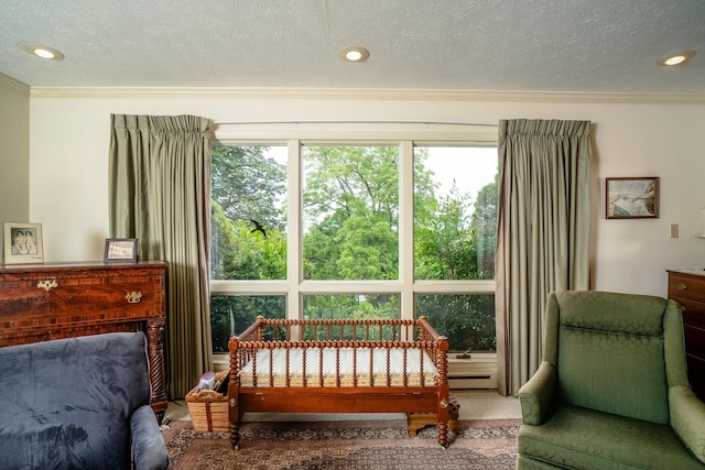 16540 Stoney Lea Ln, Elkton, VA 22827 - living area with a textured ceiling, ornamental molding, baseboard heating, recessed lighting, and carpet