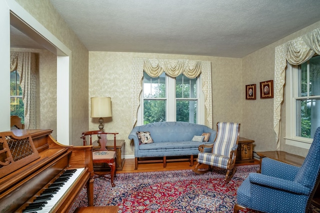 16540 Stoney Lea Ln, Elkton, VA 22827 - sitting room featuring a textured ceiling, wallpapered walls, and wood finished floors