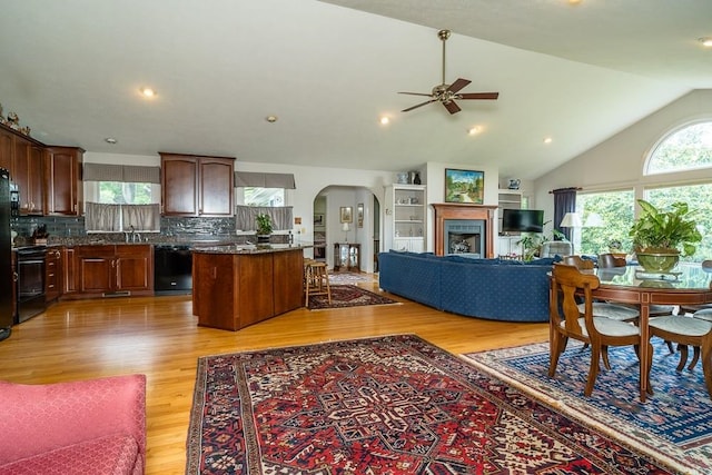 16540 Stoney Lea Ln, Elkton, VA 22827 - living area featuring a ceiling fan, light wood-style flooring, arched walkways, lofted ceiling, and a fireplace