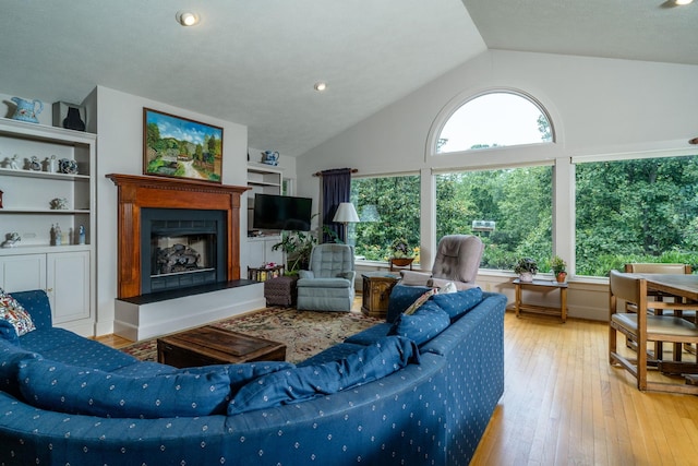 16540 Stoney Lea Ln, Elkton, VA 22827 - living area featuring a fireplace with raised hearth, vaulted ceiling, and hardwood / wood-style flooring
