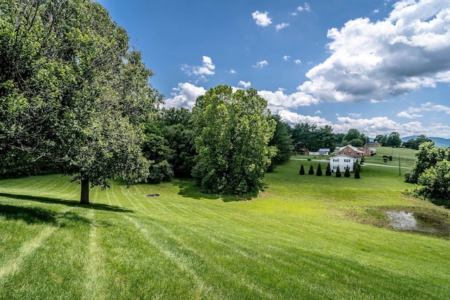 16540 Stoney Lea Ln, Elkton, VA 22827 - view of grassy yard with a view of rural / pastoral area
