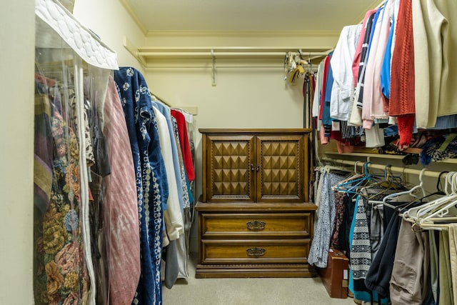 16540 Stoney Lea Ln, Elkton, VA 22827 - walk in closet with carpet floors