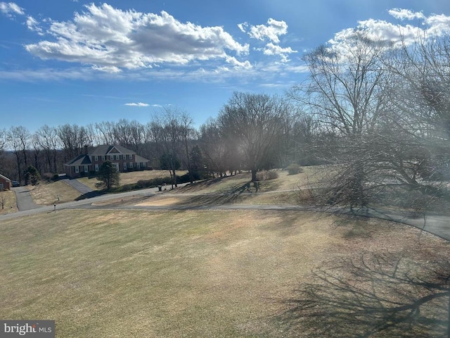  - view of yard