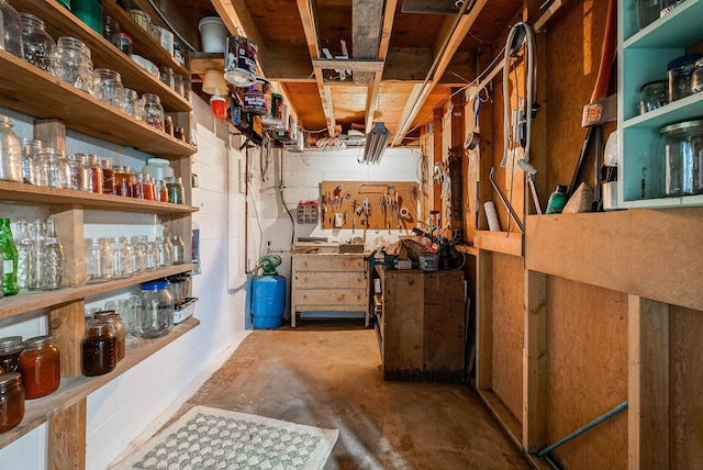 14335 S E Side Hwy, Grottoes, VA 24441 - view of storage room